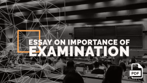 essay on examination is a true test of one's ability