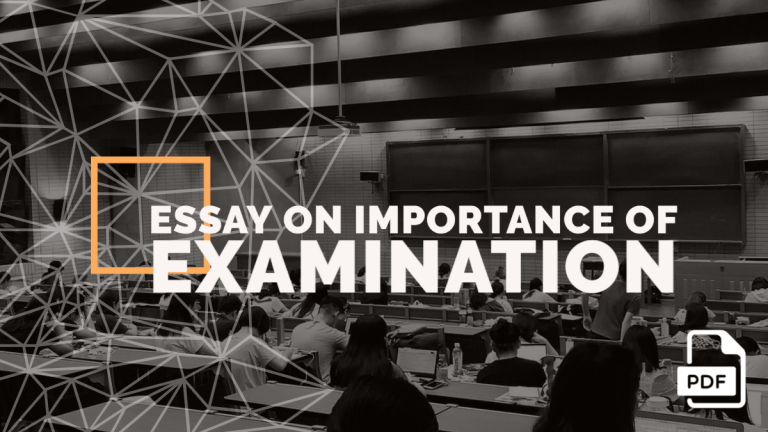 Essay on Importance of Examination feature image