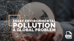 essay on how to solve environmental problems