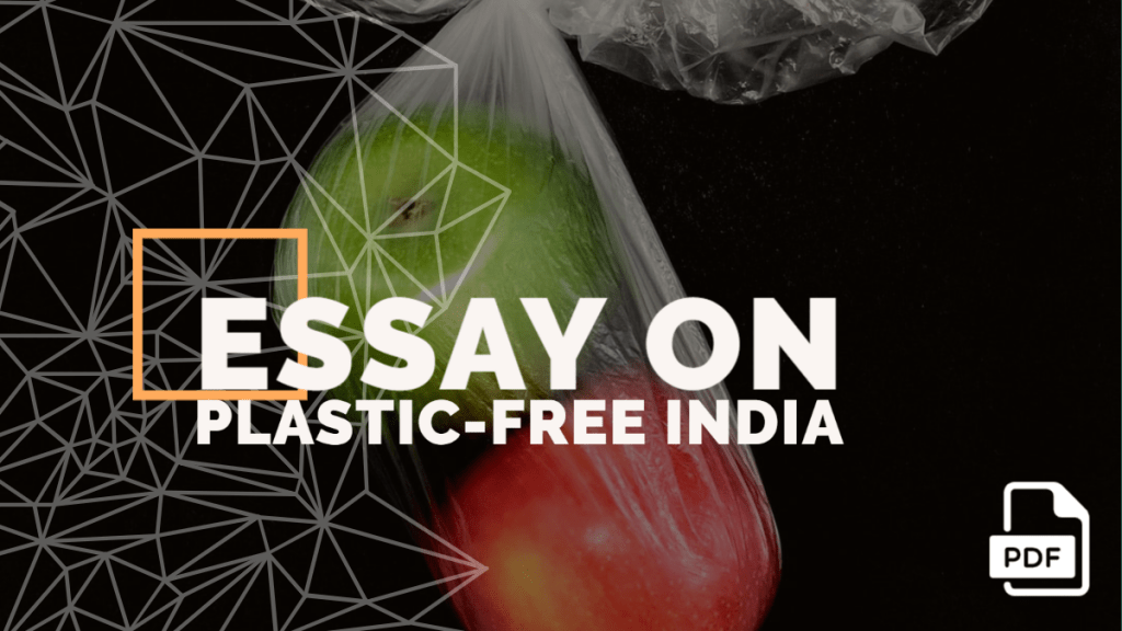 essay on plastic free india