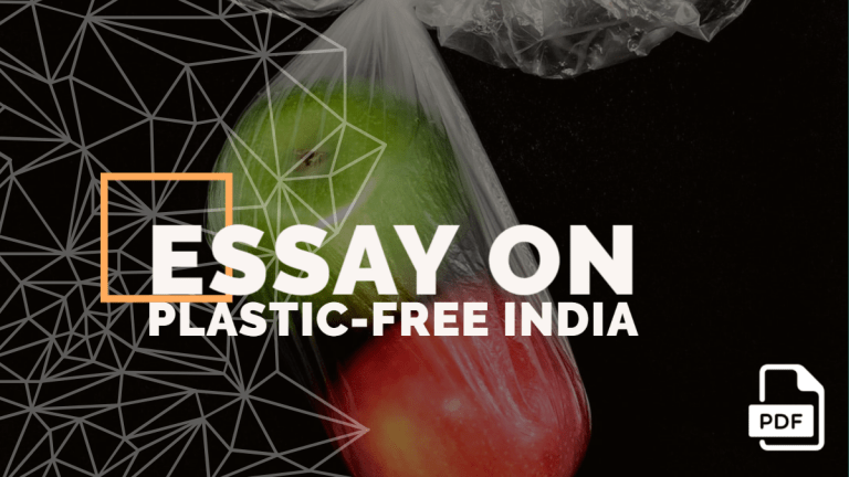 Essay on Plastic-Free India feature image