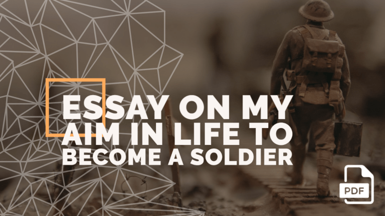 essay on my aim to become a soldier