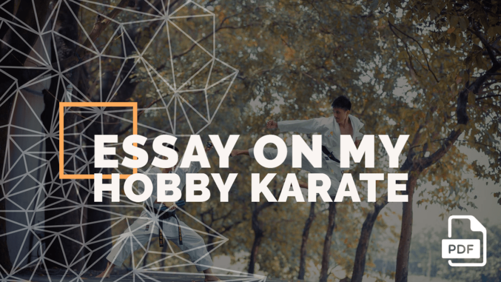 essay about karate