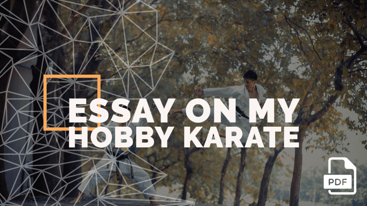 essay on karate