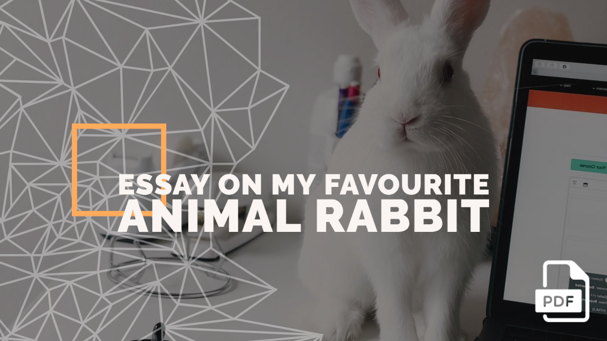 An Essay on My Favourite Animal Rabbit [PDF] - English Compositions