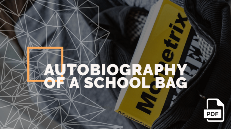 Write an Autobiography of a School Bag [PDF]