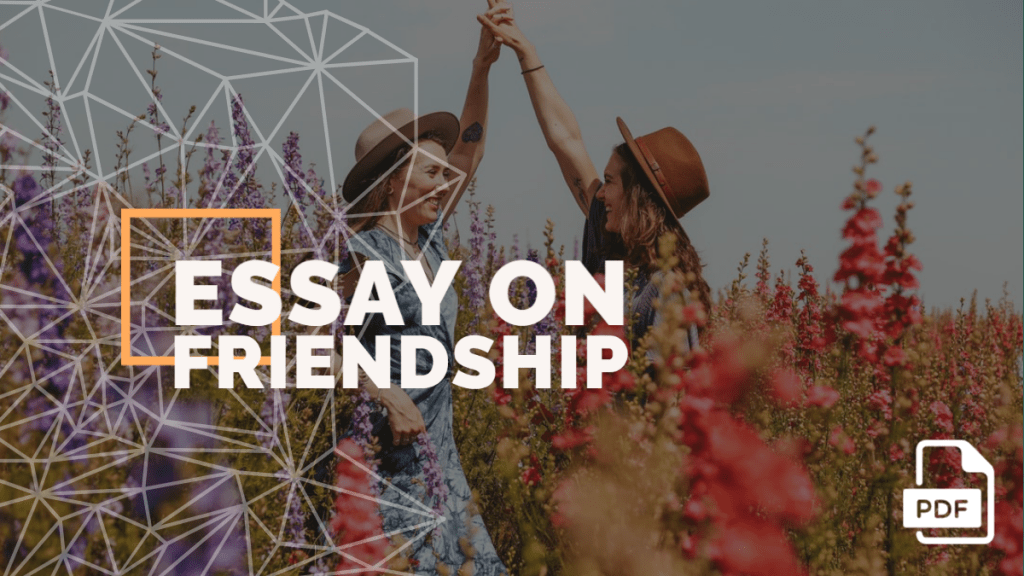 Essay on Friendship feature image