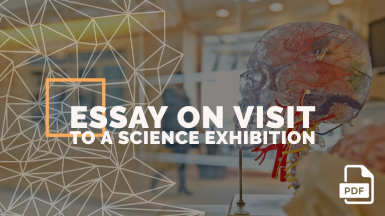 visit to science city essay for class 6