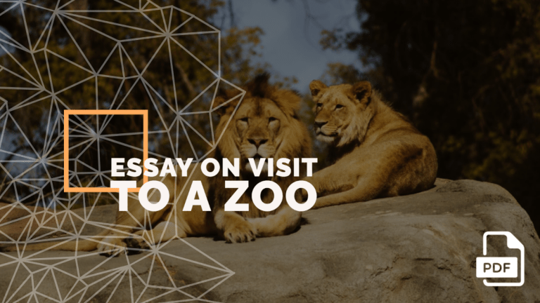 assignment on zoological park