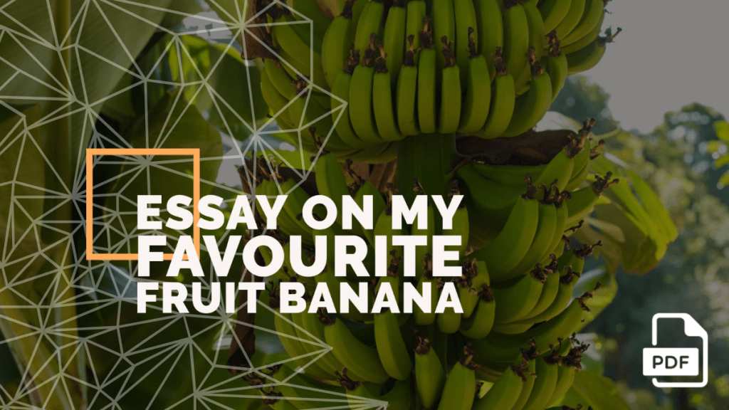 1000 word essay on bananas