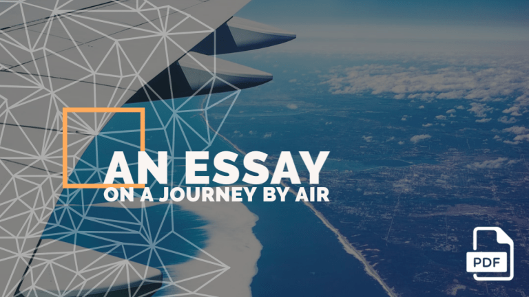 essay on travelling by air