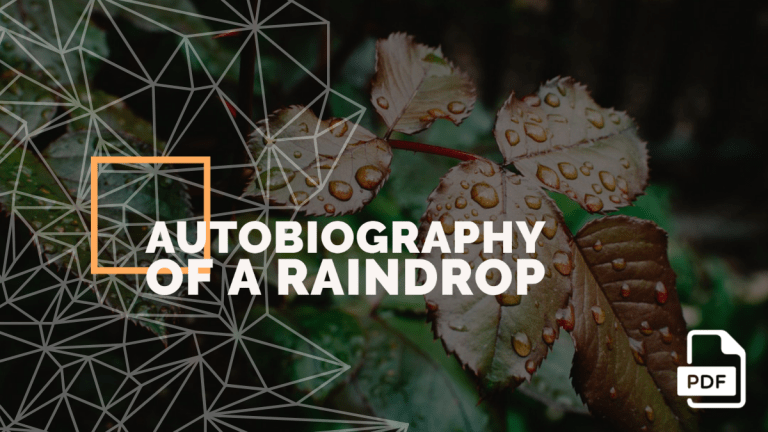 Autobiography of a Raindrop [PDF]