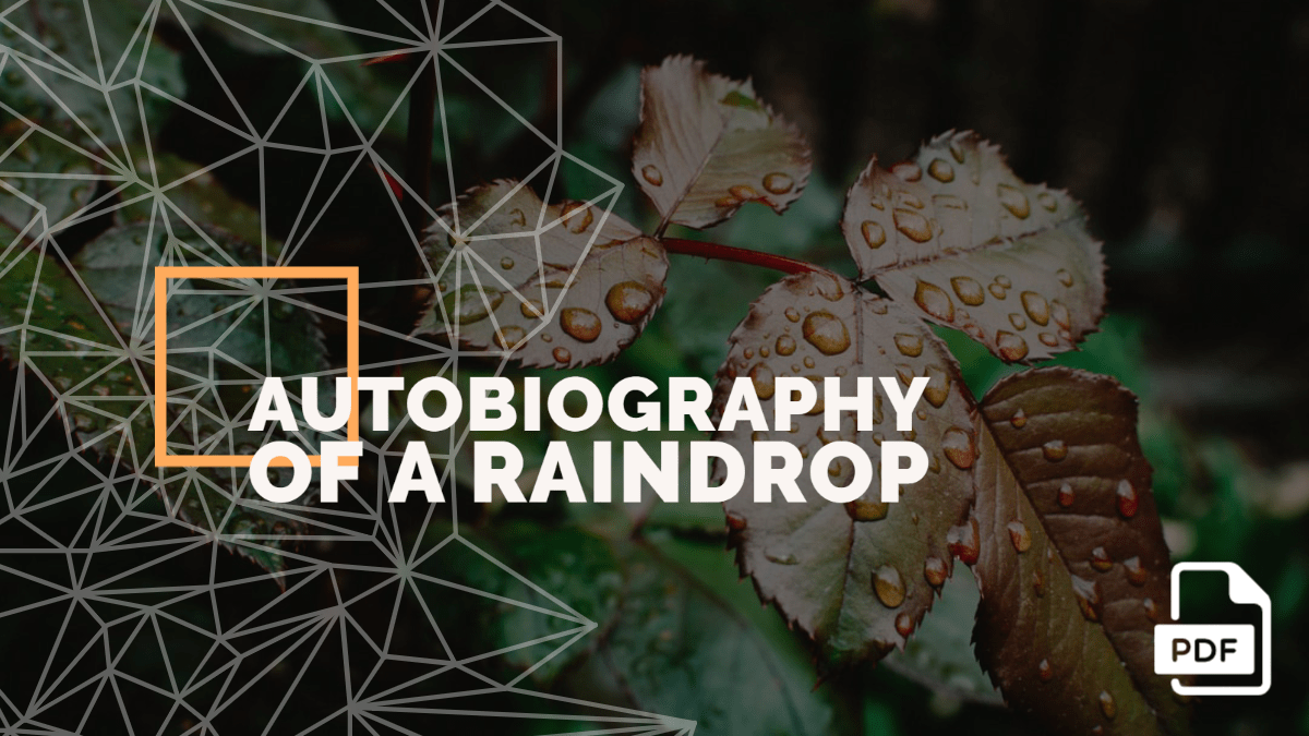 raindrop feature image