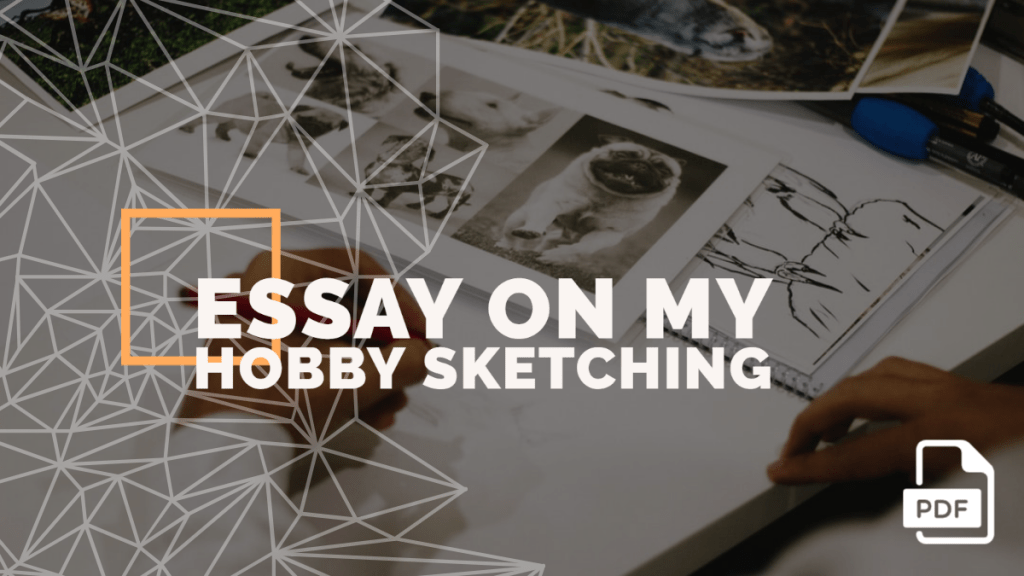 An Essay on My Hobby Sketching [PDF]