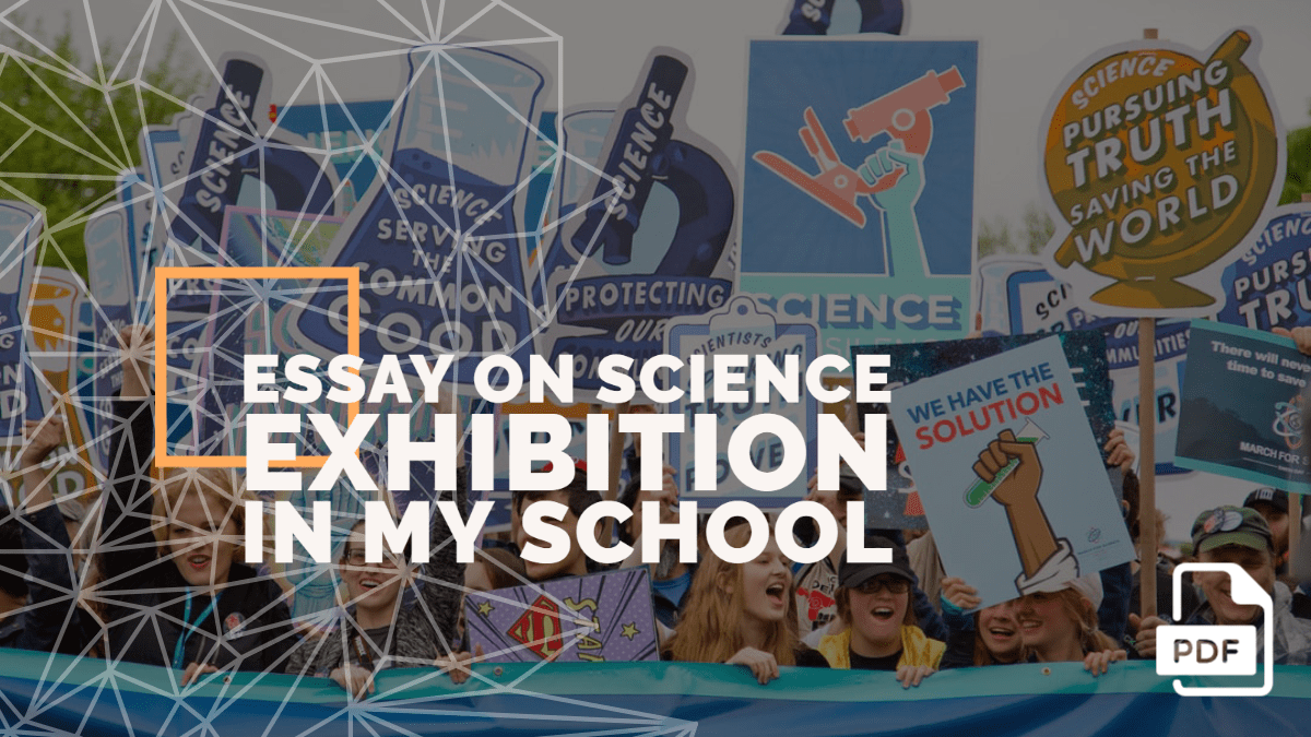 essay on school science exhibition
