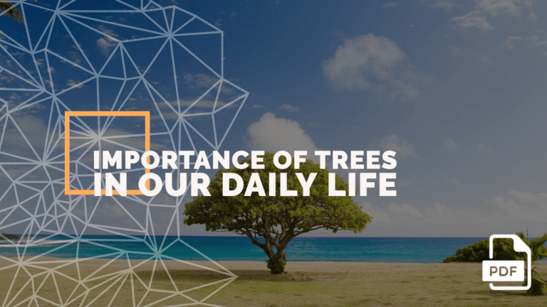 An Essay on the Importance Of Trees In Our Daily Life [With PDF]