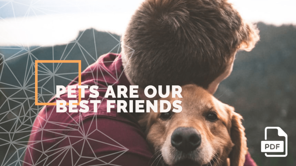 Essay on Pets are Our Best Friends [PDF] - English Compositions