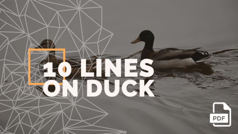 10 Lines on Duck [With PDF]