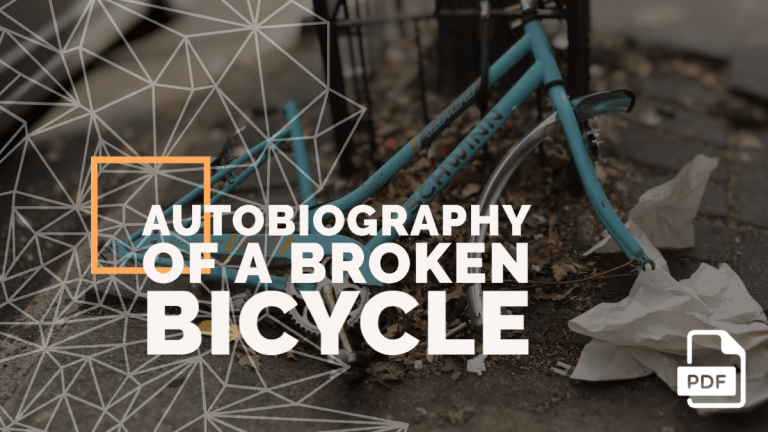 An Autobiography of a Broken Bicycle [PDF]