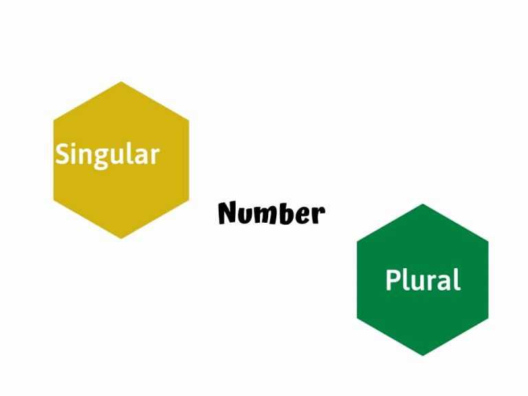 Types-of-Number