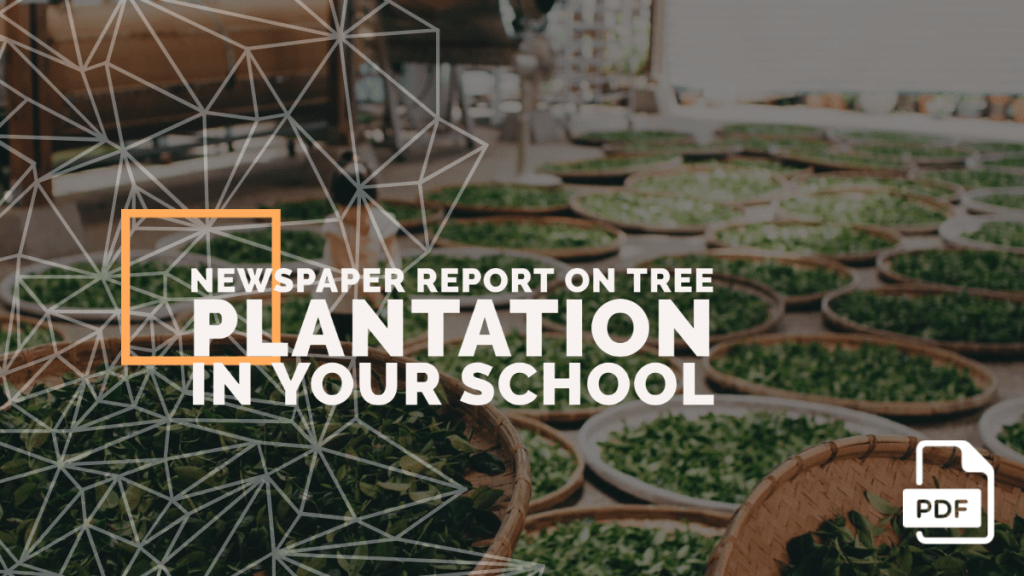 Write a Newspaper Report on Tree Plantation in Your School [PDF]