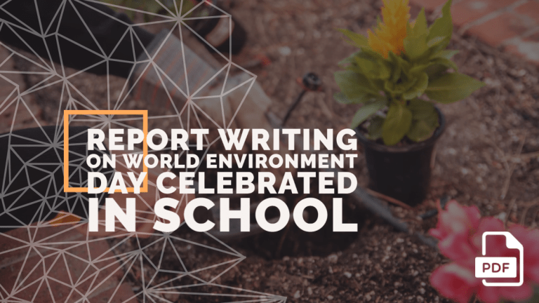 feature-image-of Report-Writing-on-World-Environment-Day-Celebrated-in-School