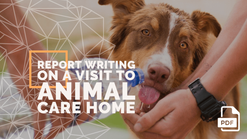 Report Writing on a Visit to Animal Care Home [With PDF] - English  Compositions