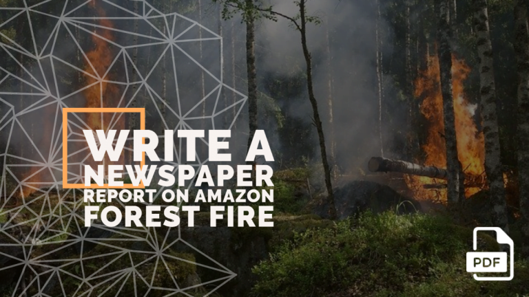 Write a Newspaper Report on Amazon Forest Fire [With PDF]