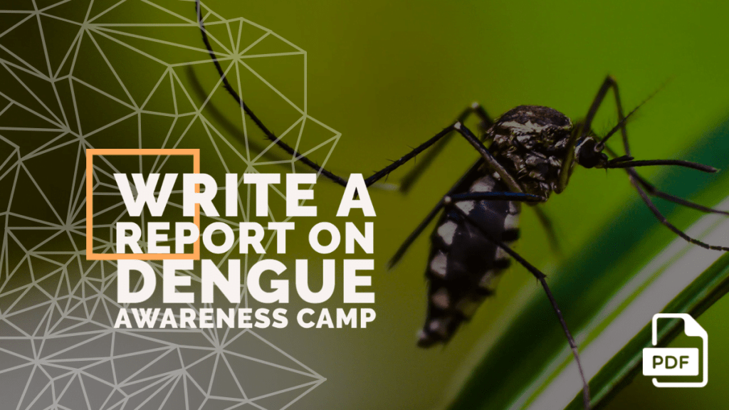 feature image of write a report on dengue awareness camp