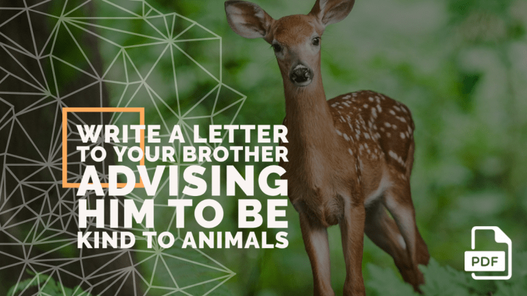 Write a Letter to Your Brother Advising Him to be Kind to Animals [With PDF]