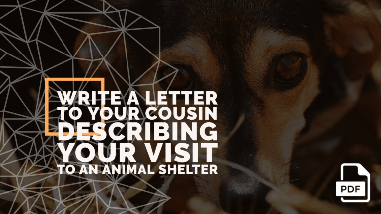 Write a Letter to Your Cousin Describing Your Visit to an Animal Shelter [With PDF]