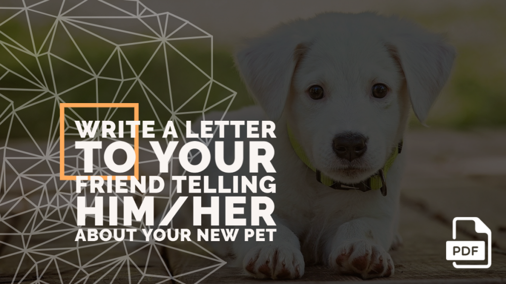 Feature image of Letter to Your Friend Telling Him about your New Pet