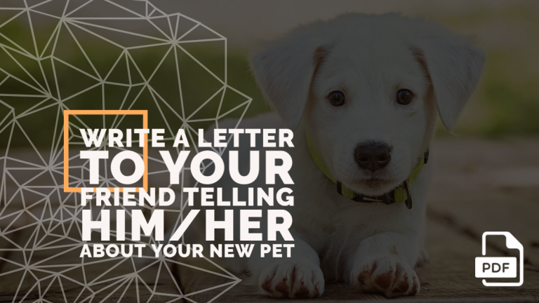 Write a Letter to Your Friend Telling Him/Her about your New Pet [With PDF]