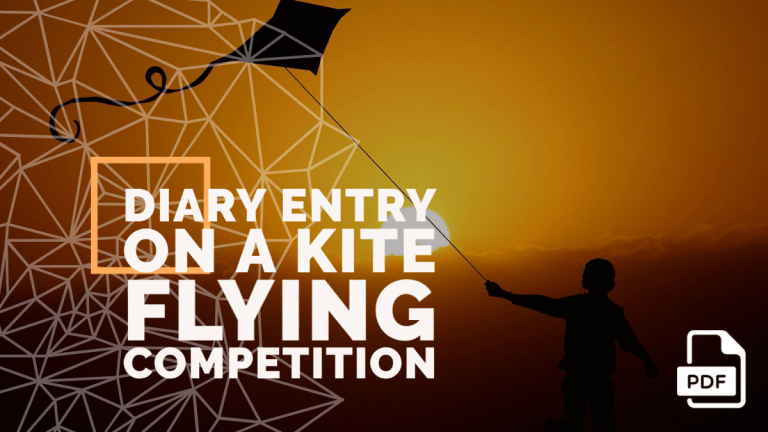 Diary Entry on a Kite Flying Competition [With PDF]
