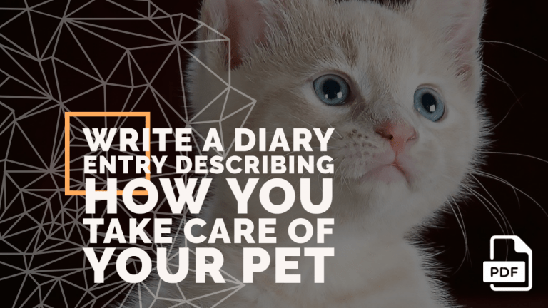 Feature image of Diary Entry Describing How You Take Care of Your Pet
