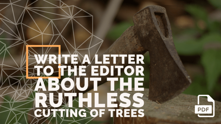 Feature image of Letter to the Editor about the Ruthless Cutting of Trees