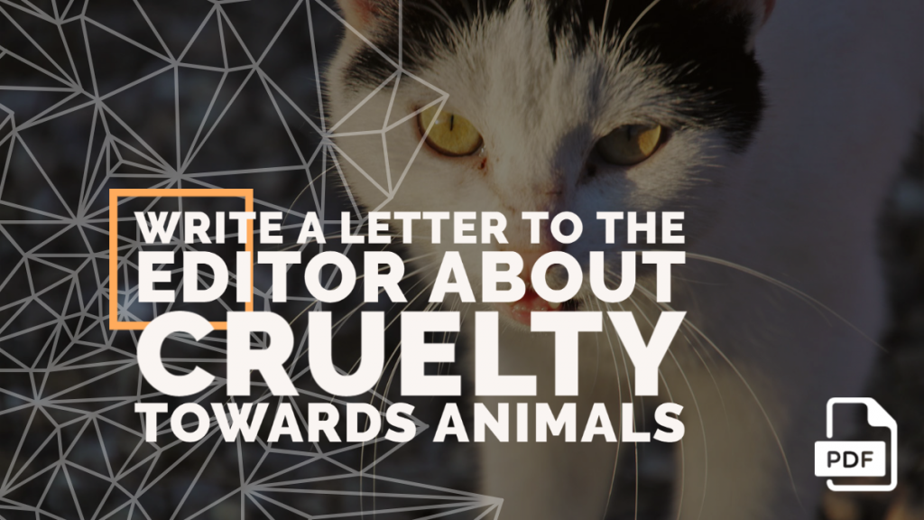 Feature image of Write a Letter to the Editor about Cruelty Towards Animals