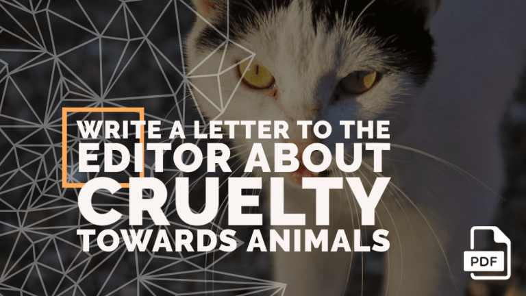 Feature image of Write a Letter to the Editor about Cruelty Towards Animals
