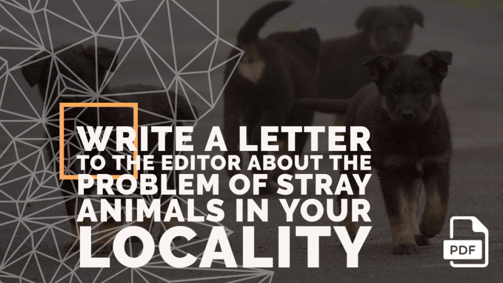 Write a Letter to the Editor about the Problem of Stray Animals in your  Locality - English Compositions