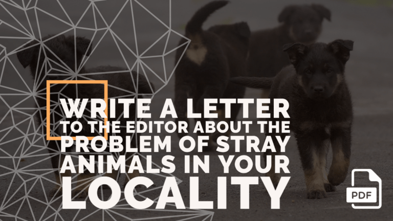 Feature image of Letter to the Editor about the Problem of Stray Animals in your Locality