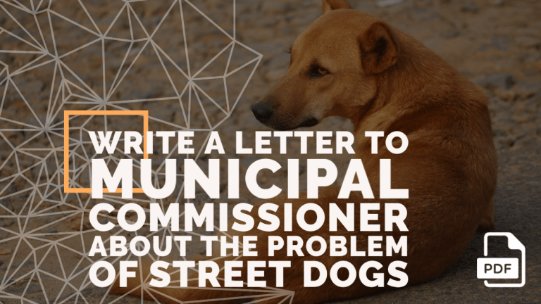 Feature image of Letter to Municipal Commissioner about the Problem of Street Dogs