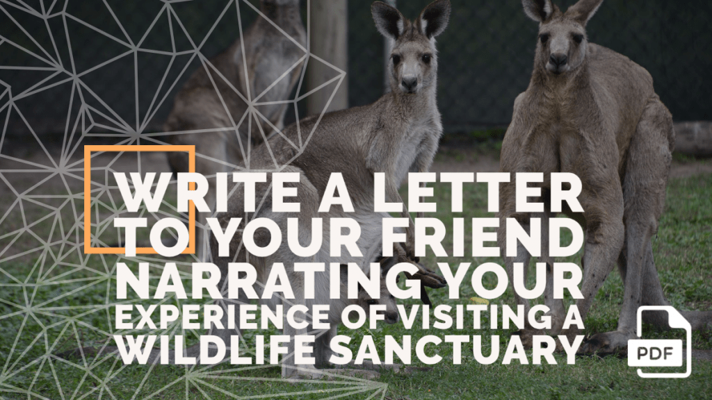 Write a Letter to Your Friend Narrating Your Experience of Visiting a Wildlife Sanctuary