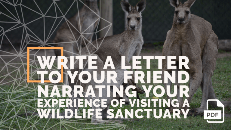 Write a Letter to Your Friend Narrating Your Experience of Visiting a Wildlife Sanctuary [4 Examples]