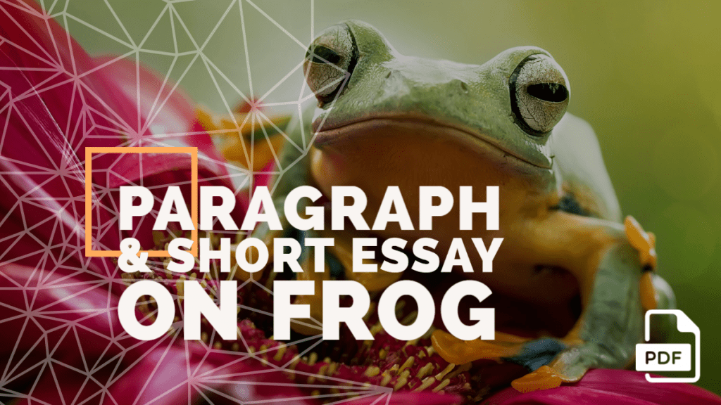 Feature image of Paragraph & Short Essay on Frog