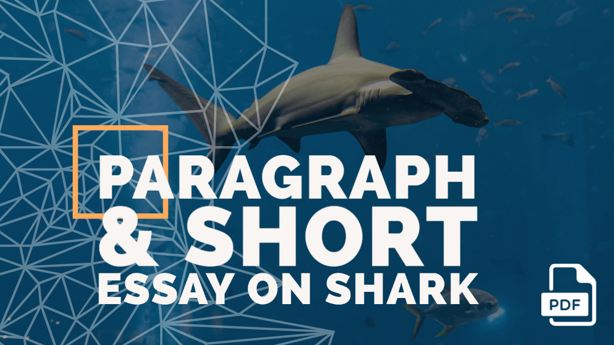 shark essay in simple english