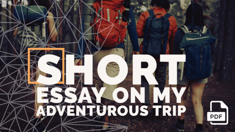 essay on adventure trip