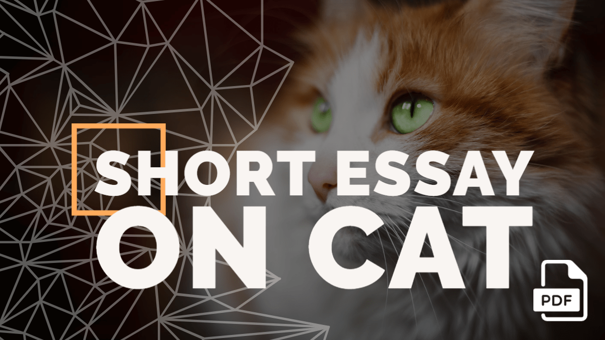 essay on cat in 200 words