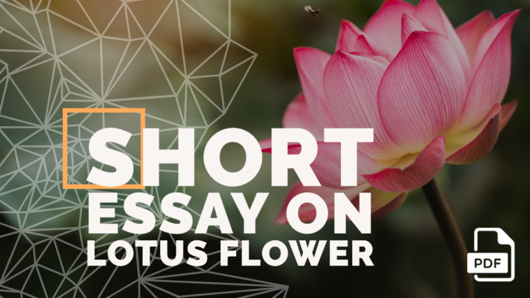 essay about flowers 200 words