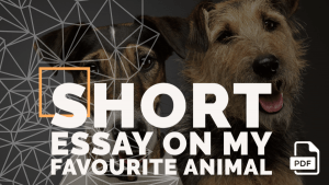 my favourite animal short essay