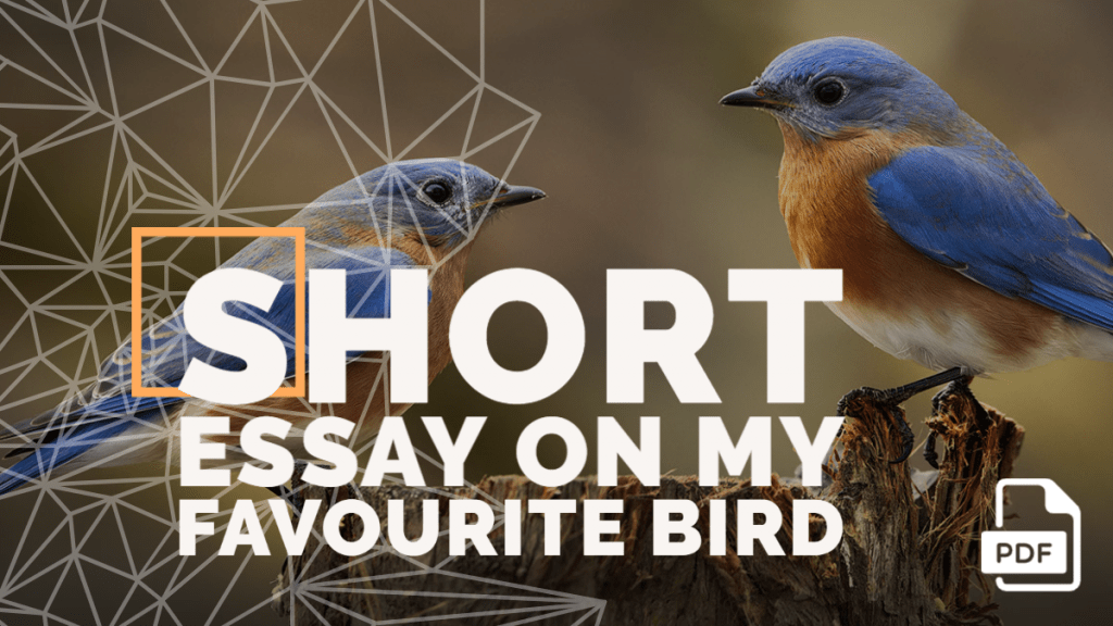 Short Essay on My Favourite Bird [100, 200, 400 Words] With PDF